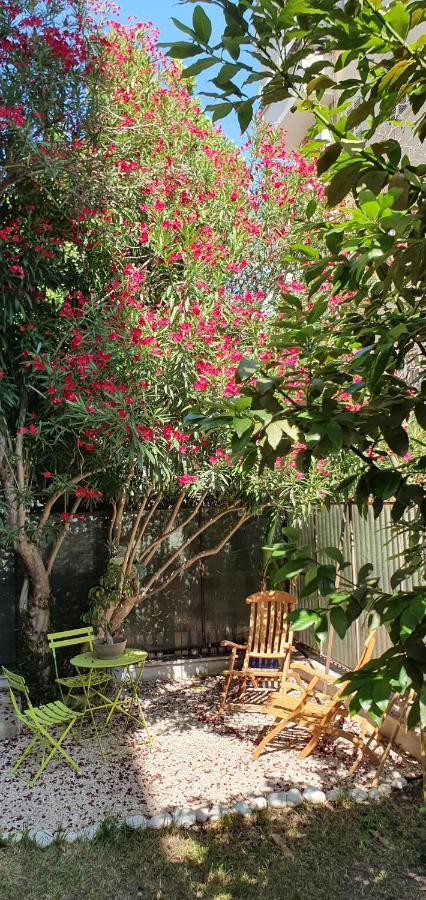 Trastevere Marlu Garden House Apartment Roma Ngoại thất bức ảnh